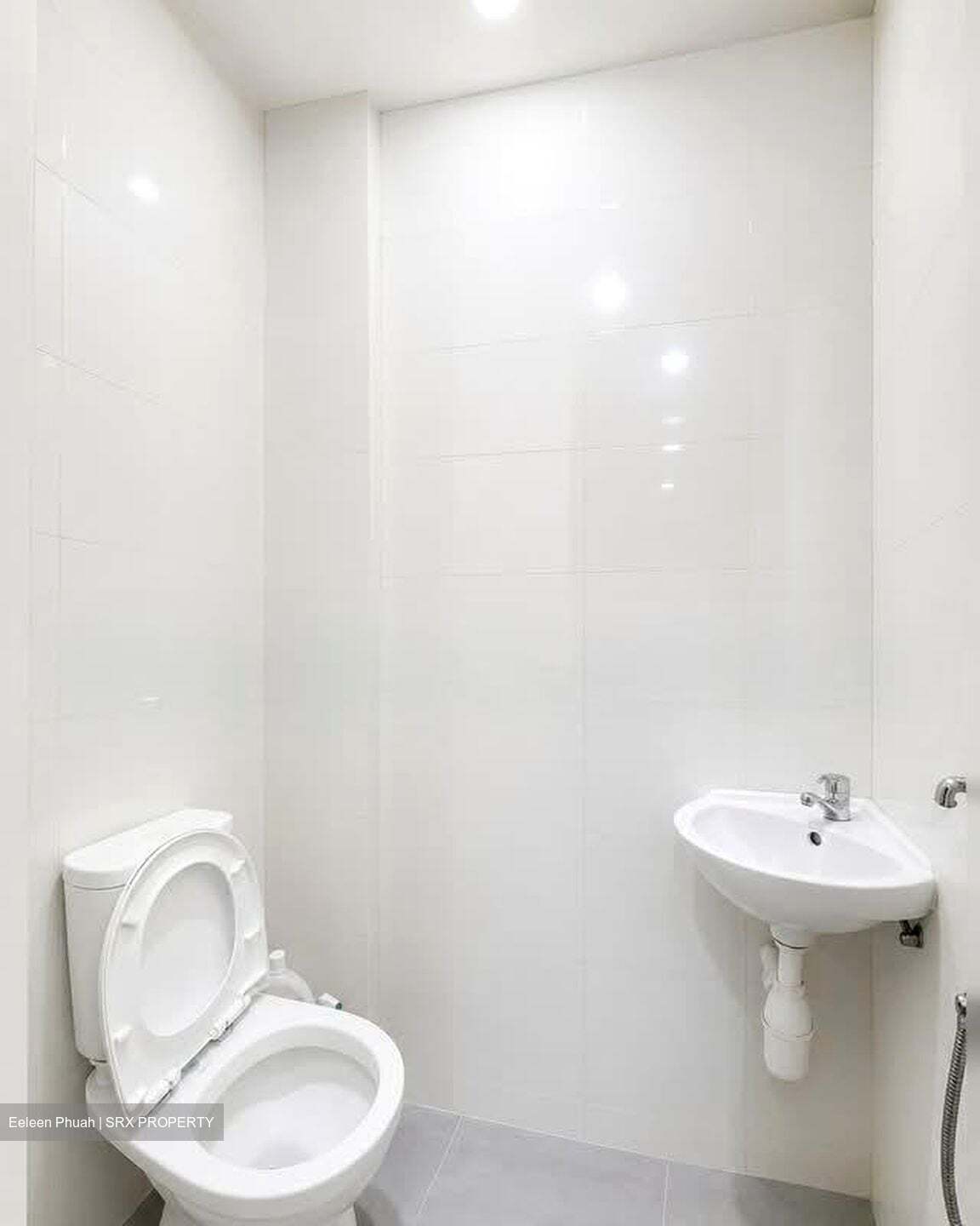 The Skywoods (D23), Condominium #580766921